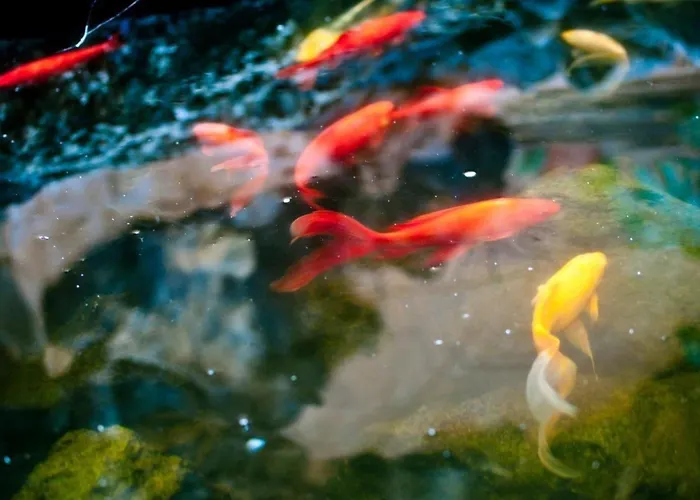 El Refugio By Interhome Apartamento